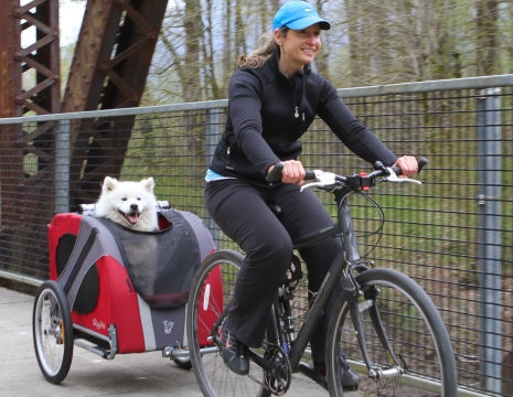 doggyride bike trailer